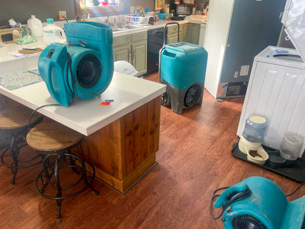 Best Water damage contractors near me  in Running Springs, CA