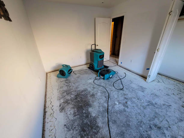 Best Local water damage restoration  in Running Springs, CA