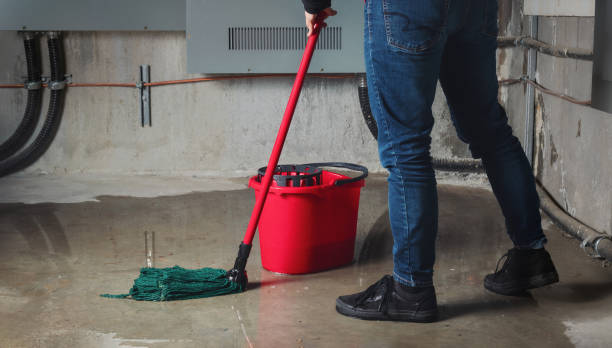 Best Water damage restoration near me  in Running Springs, CA