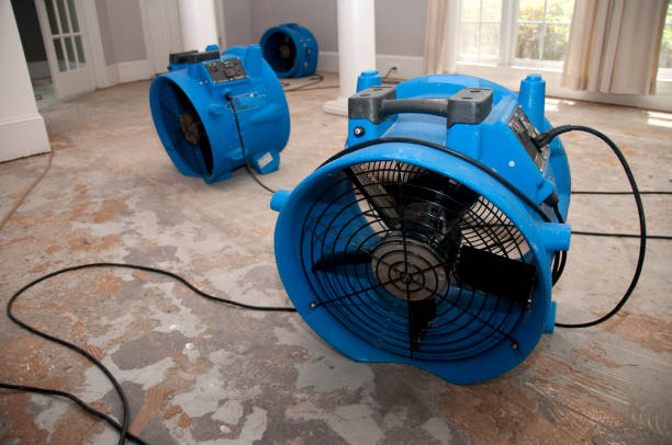 Best Water damage restoration experts  in Running Springs, CA