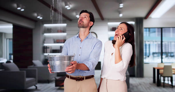 Best Water damage cleanup near me  in Running Springs, CA